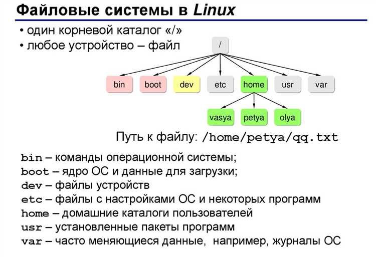 Файловая система и её ключевые функции