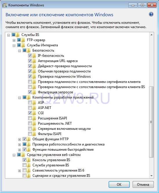 Основы удаленного доступа к IIS