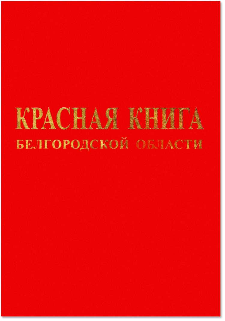 Конечно, вот план для информационной статьи на тему 